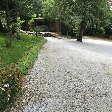Bus Atypique Au Bord Du Canal Du Midi Et Au Coeur D'Une Foret 2 Chambres Villepinte  外观 照片