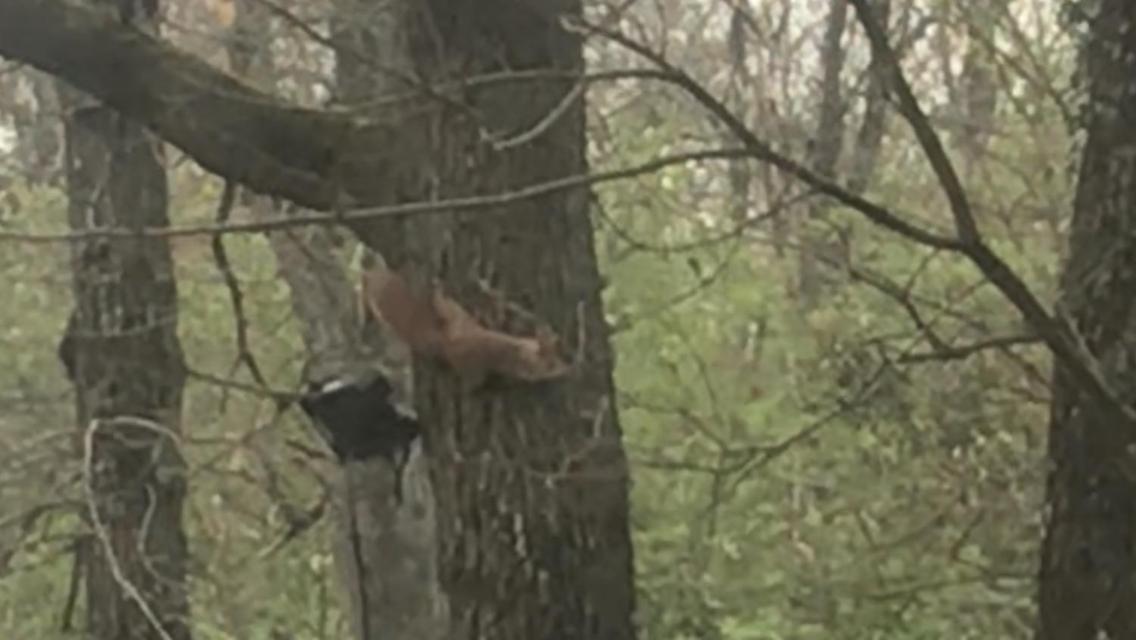 Bus Atypique Au Bord Du Canal Du Midi Et Au Coeur D'Une Foret 2 Chambres Villepinte  外观 照片