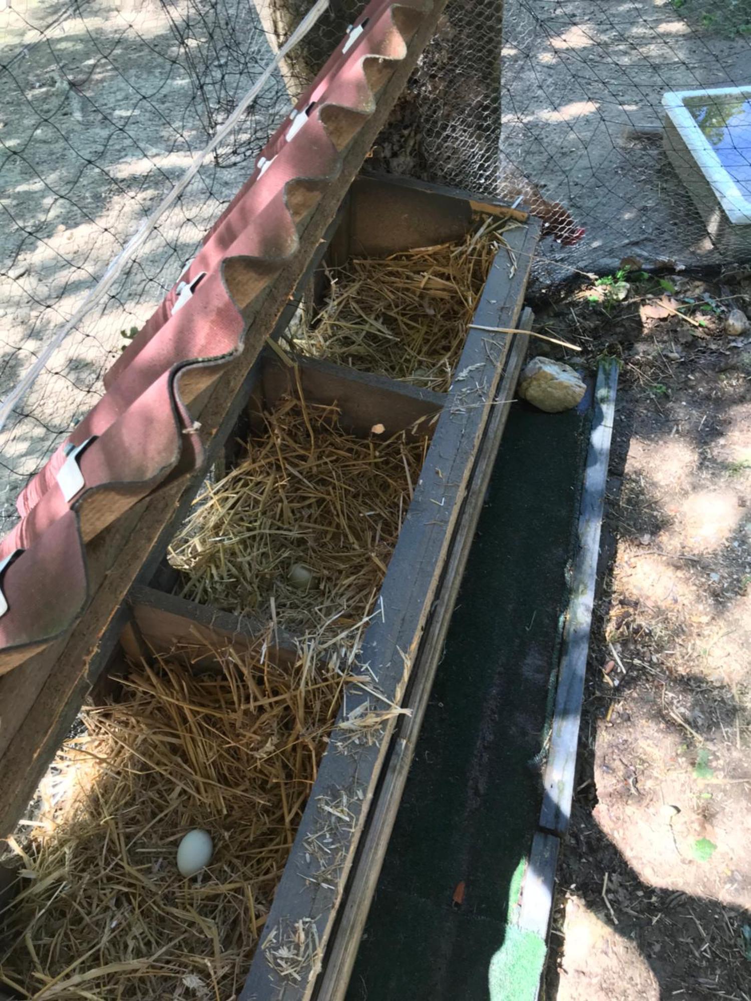 Bus Atypique Au Bord Du Canal Du Midi Et Au Coeur D'Une Foret 2 Chambres Villepinte  外观 照片