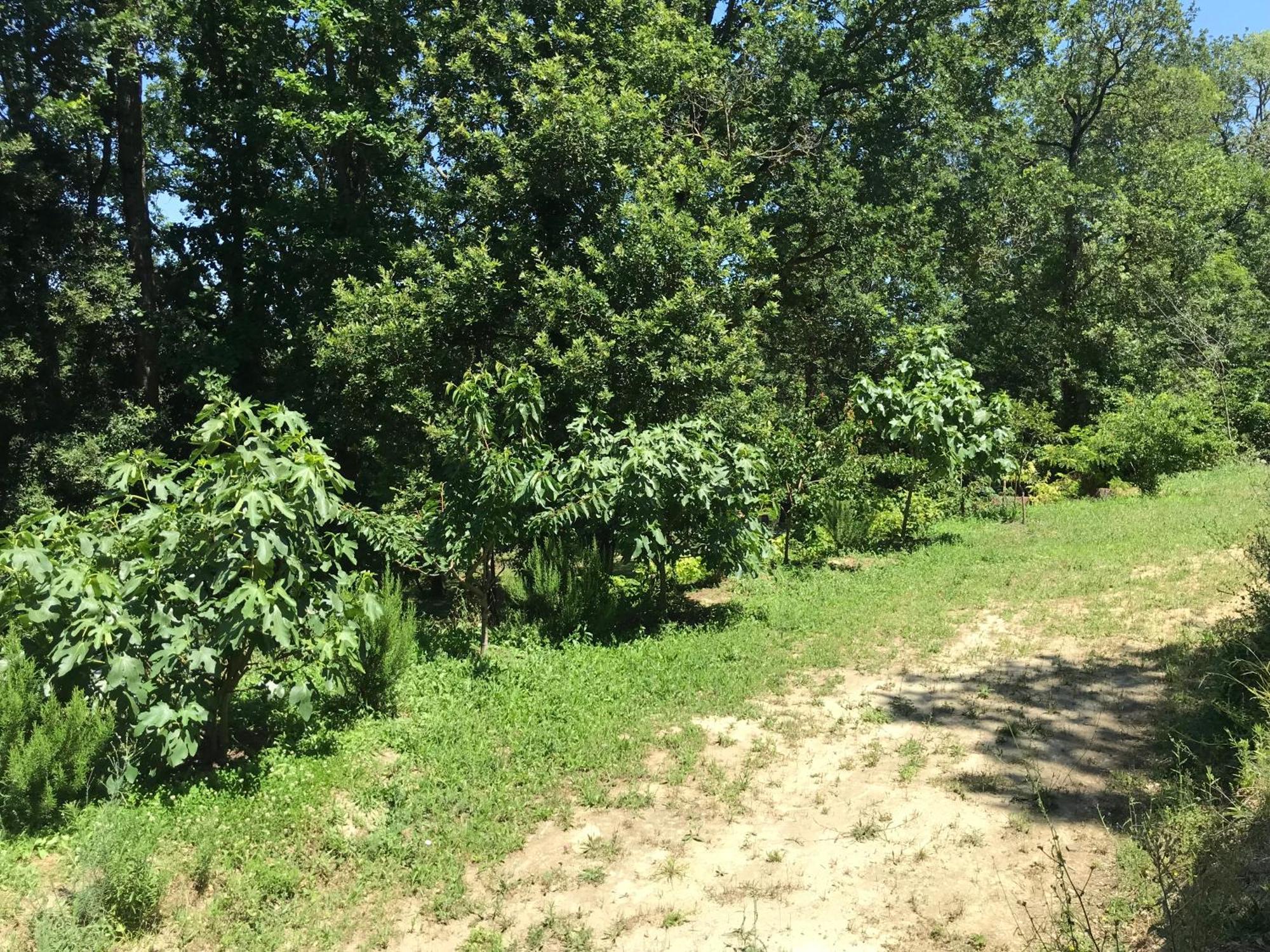 Bus Atypique Au Bord Du Canal Du Midi Et Au Coeur D'Une Foret 2 Chambres Villepinte  外观 照片
